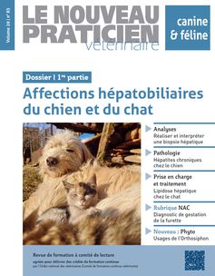 Bon de commande des anciens numéros sur la même thématique (PDF)