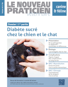 Bon de commande des anciens numéros sur la même thématique (PDF)