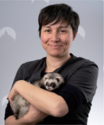Adeline Linsart