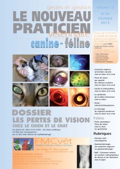 Les pertes de vision