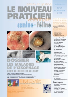 Ce numéro est disponible à la vente via la rubrique Ventes au numéro papier. Seuls les titres et résumés sont présentés ci-dessous.
